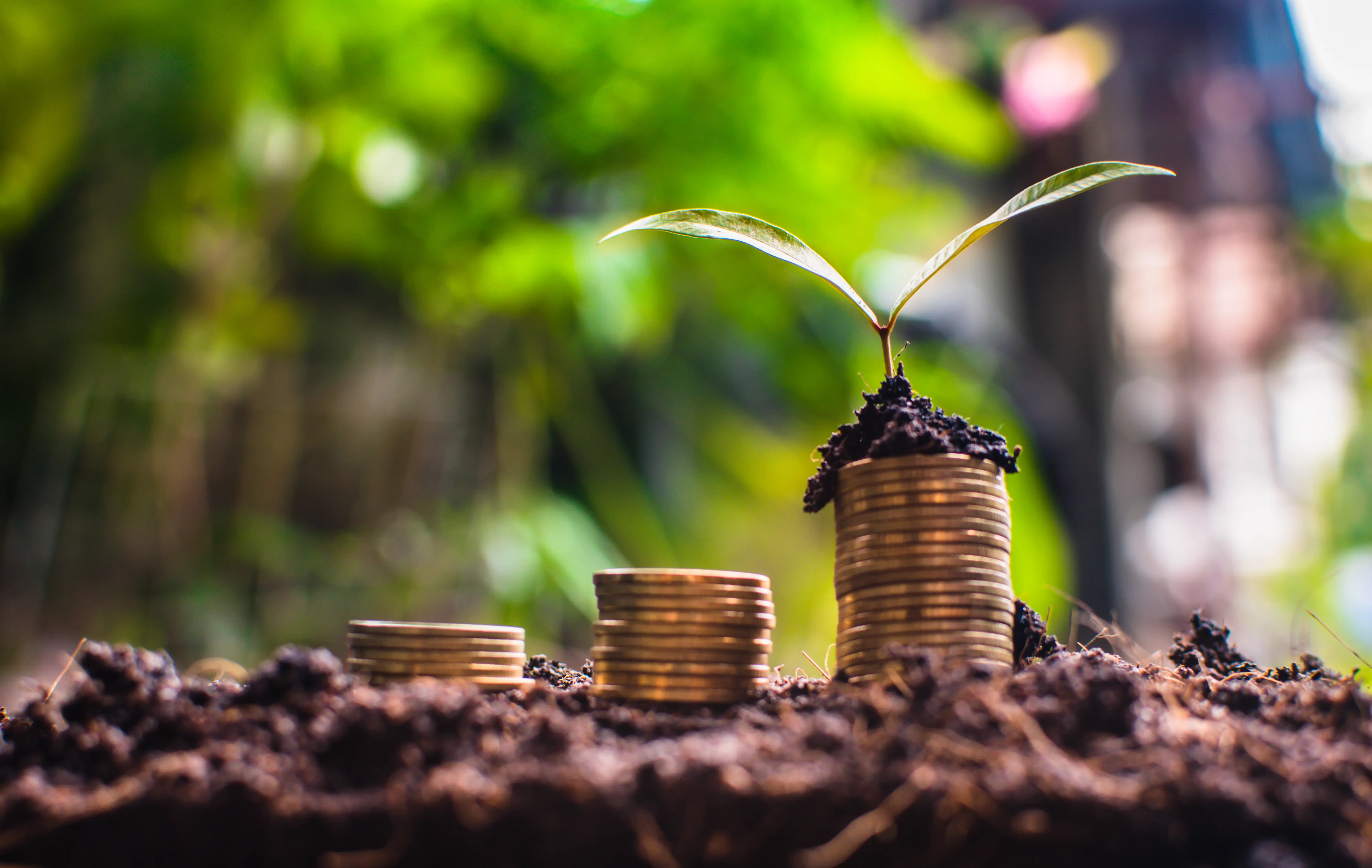Module VIII Session III: Nature Risk and Nature Finance