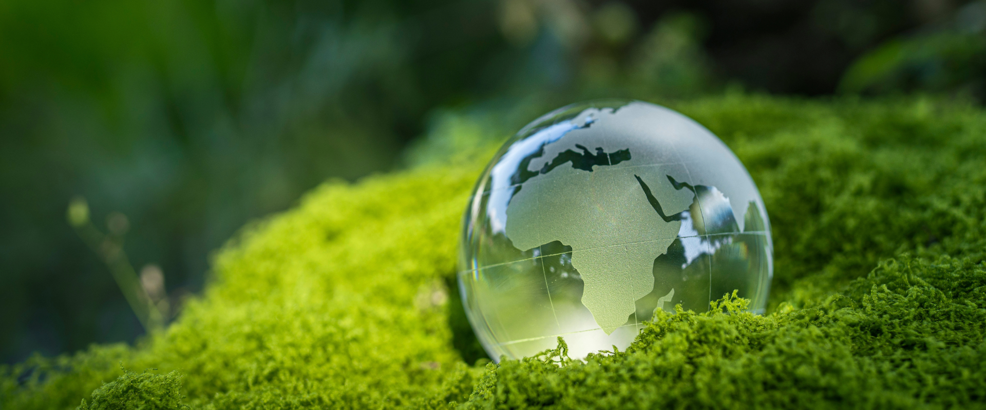 Strengthening Risk management, unlocking growth and investment opportunities.