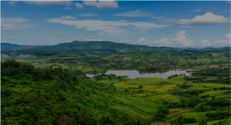 Module VIII Session I: Blue, Green and Nature Finance